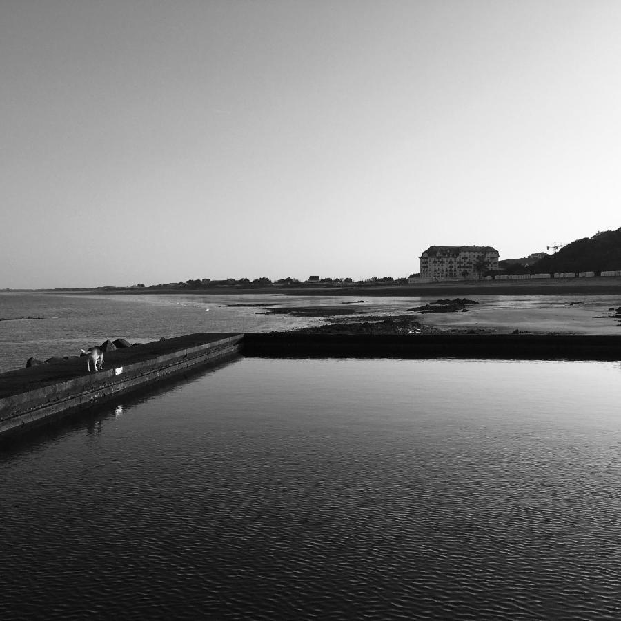 Studio Les Pieds Dans L'Eau Donville-les-Bains Exterior foto